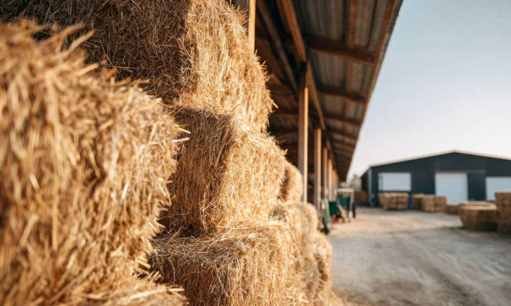 Eighth Circuit rules pollution exclusion bars carbon monoxide injury claims