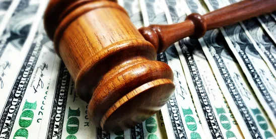 Selective Adoption of Execution-Focused Terms