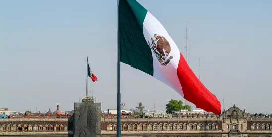 Mexican Software Engineer Secures Green Card Approval