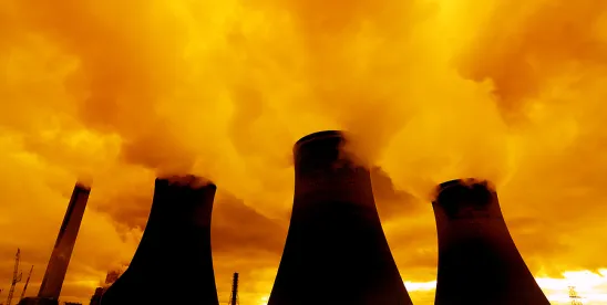 NRC Requests Comments on Reactor Design Interim Guidance