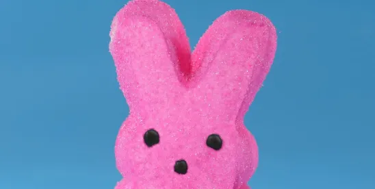 Predictions for What to Expect After Congress’ Easter Recess