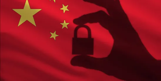 Highlights from China’s 2025 IP Status White Paper- Punitive Dama
