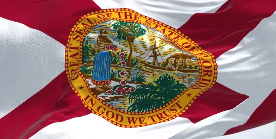 Florida Enacts SB1134 Prohibiting Municipalities From Funding DEI
