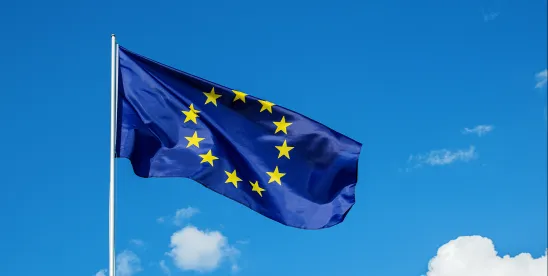 ECON Committee Publishes SFDR 2.0 Draft Report