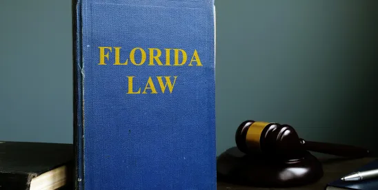 Affordable Housing in Florida Under Live Local and YIGBY