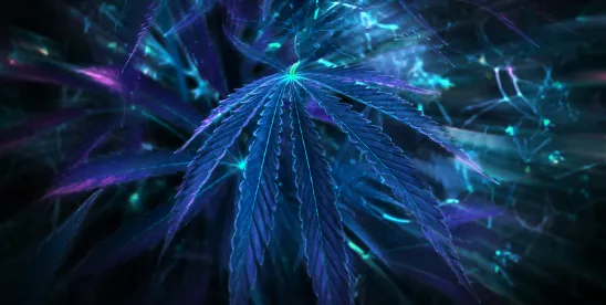 Psychedelics Impacted by Marijuana Rescheduling Order