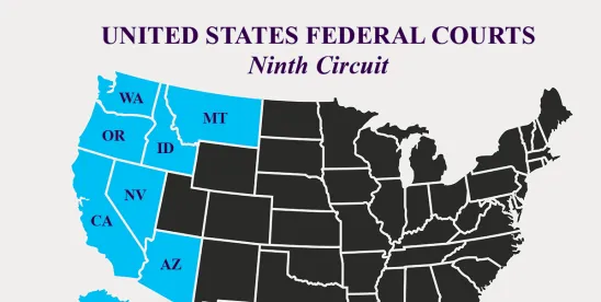 Court Questions Section 230 Shield for GenAI Ads on Meta