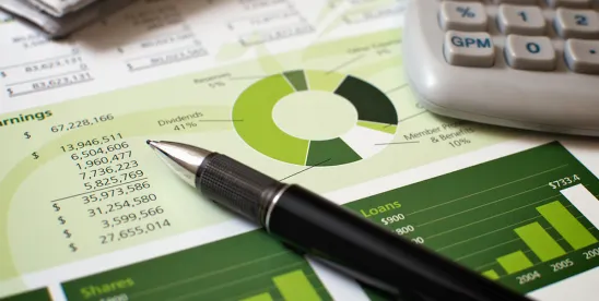 NY Legislature Begins Passing Executive Budget: Key Provisions