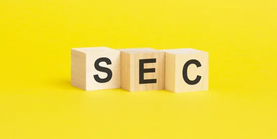SEC Proposes Amendments to Public Company Reporting Framework