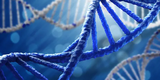 What Teva Pharms v. Eli Lilly Demonstrates About Enablement Requi